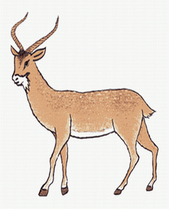 الرمز الانتخابي